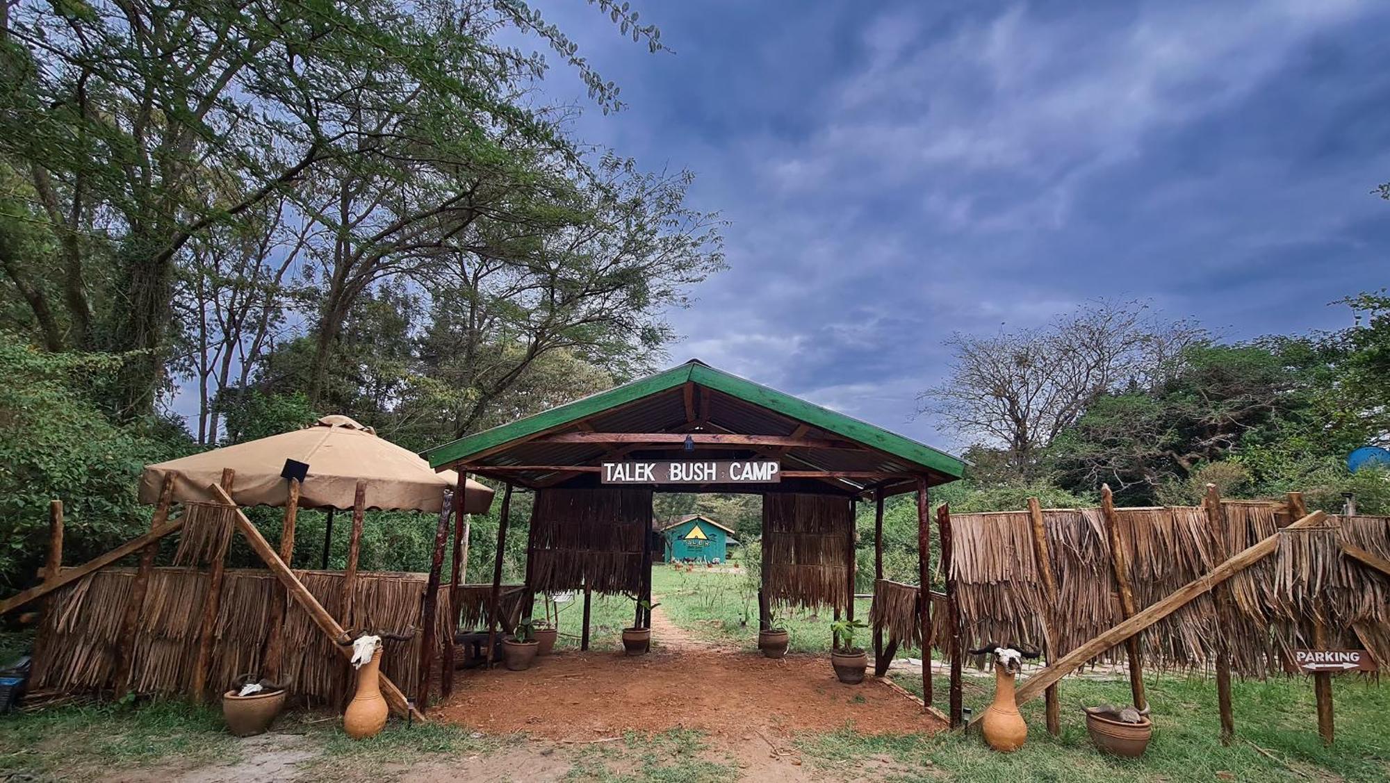 Bush Camp , Masai Mara Campsite Talek